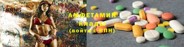 индика Баксан