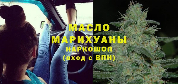 индика Баксан