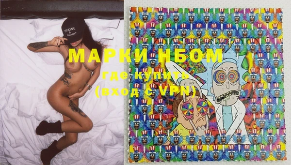 индика Баксан