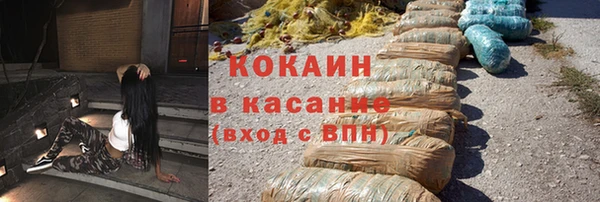 индика Баксан