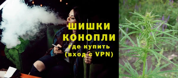 индика Баксан
