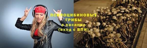 индика Баксан